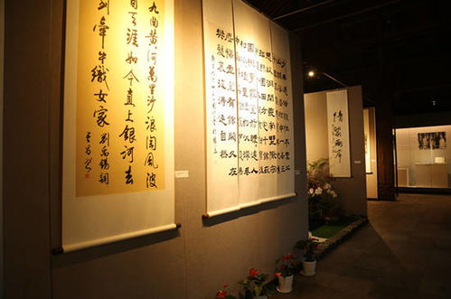 以藝為橋，共繪青春——杭臺(tái)青年文化藝術(shù)交流活動(dòng)在連橫紀(jì)念館圓滿舉辦
